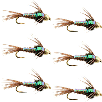 The Fly Fishing Place Barbless Bead Head Flashback Pheasant Tail Nymph Fly 6 Flies Hook Size 16