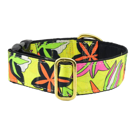 2 Hounds Design Florence – Exclusive Martingale Dog Collar