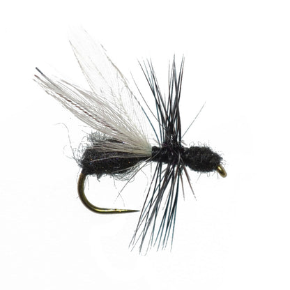 The Fly Fishing Place Barbless Black Fur Flying Ant Terrestrial Trout Dry Fly Fishing Flies - 1 Dozen Flies Hook Size 14