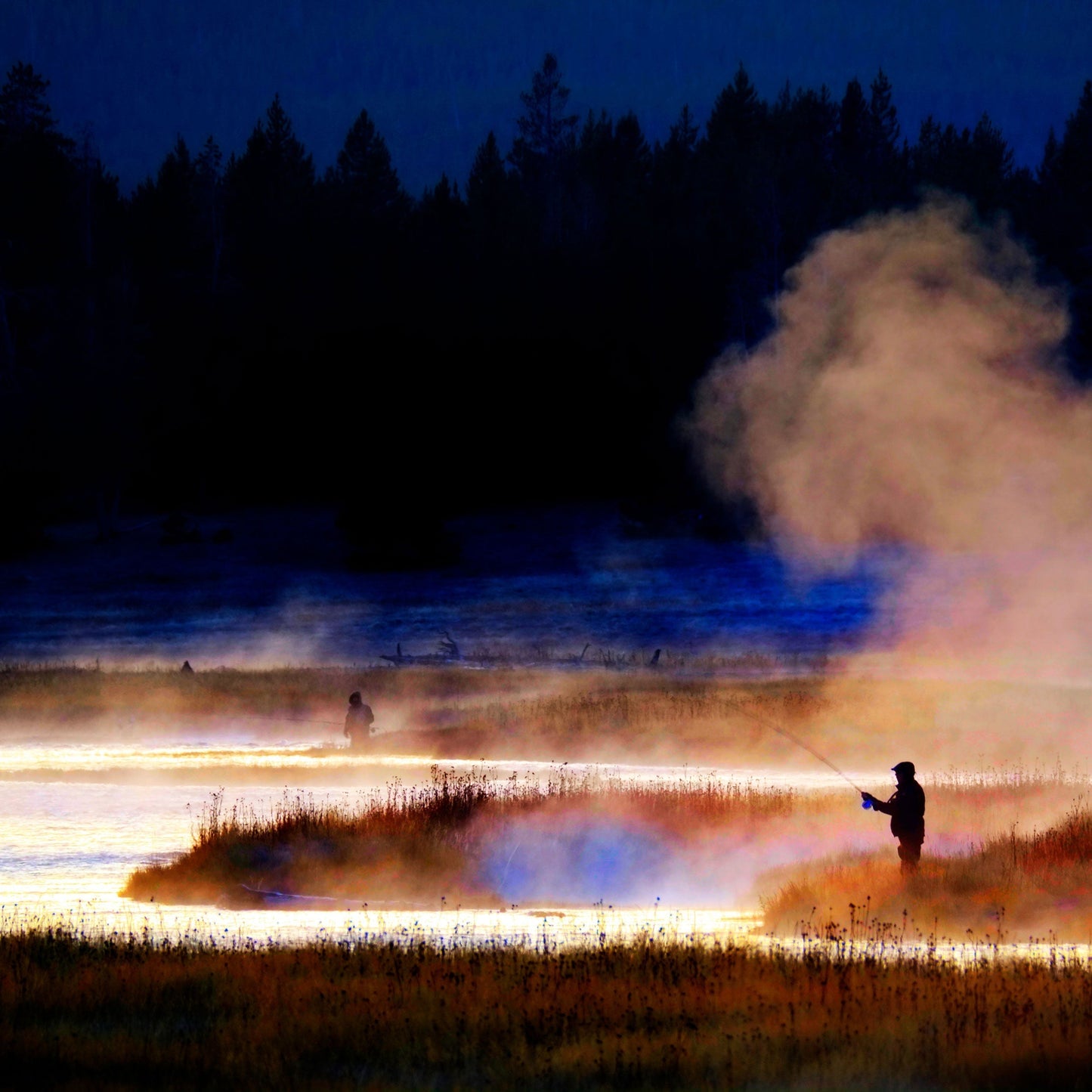 The Fly Fishing Place Barbless Griffiths Gnat Midge Trout Dry Fly Fishing Flies - 6 Flies Size 18