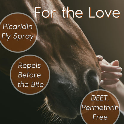 Zone Protects Horse & Rider Fly & Insect Repellent Spray-Refill, 32oz Bundle