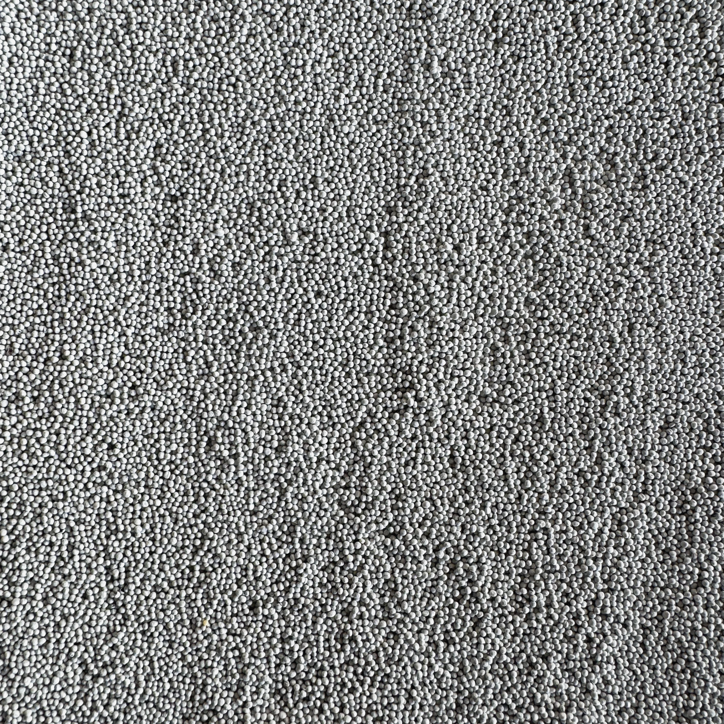 Rolling Hills Supply Turnips