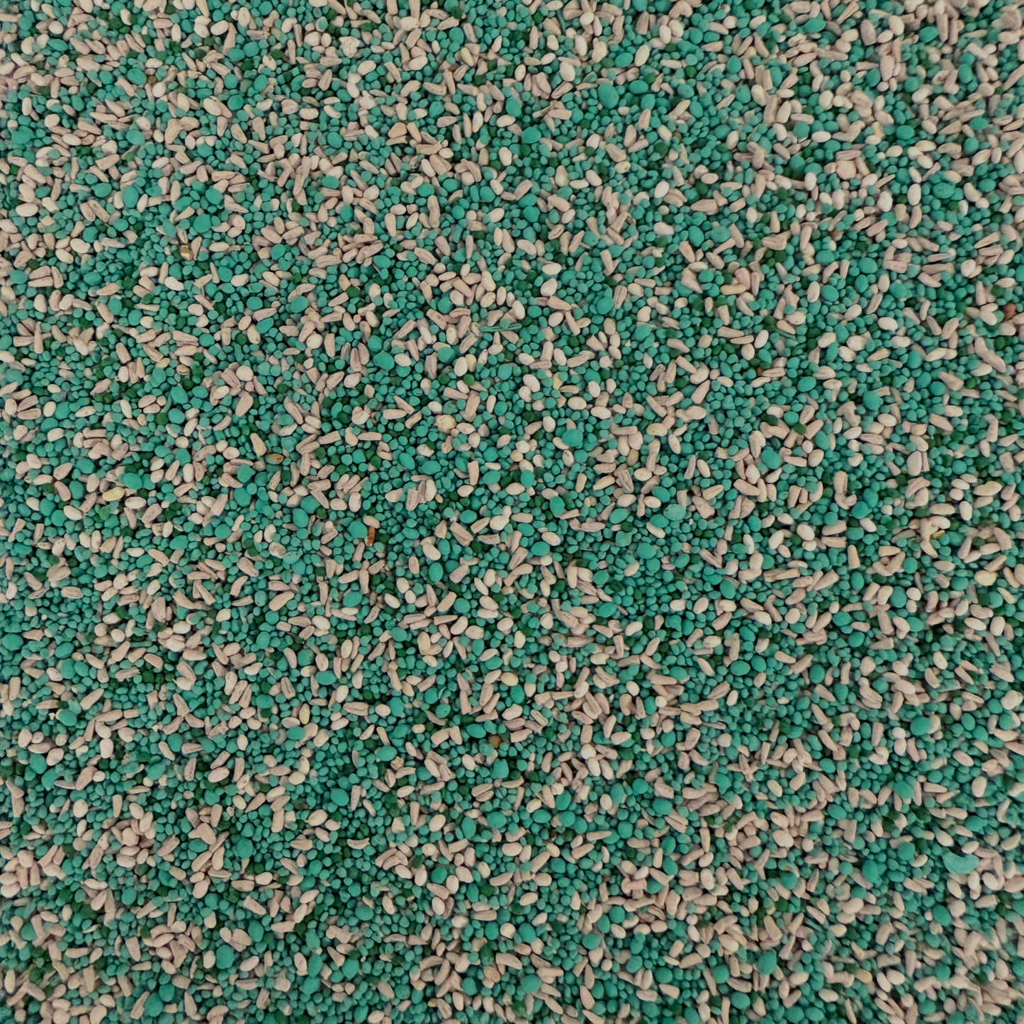 Rolling Hills Supply Chicory + Clover with Alfalfa