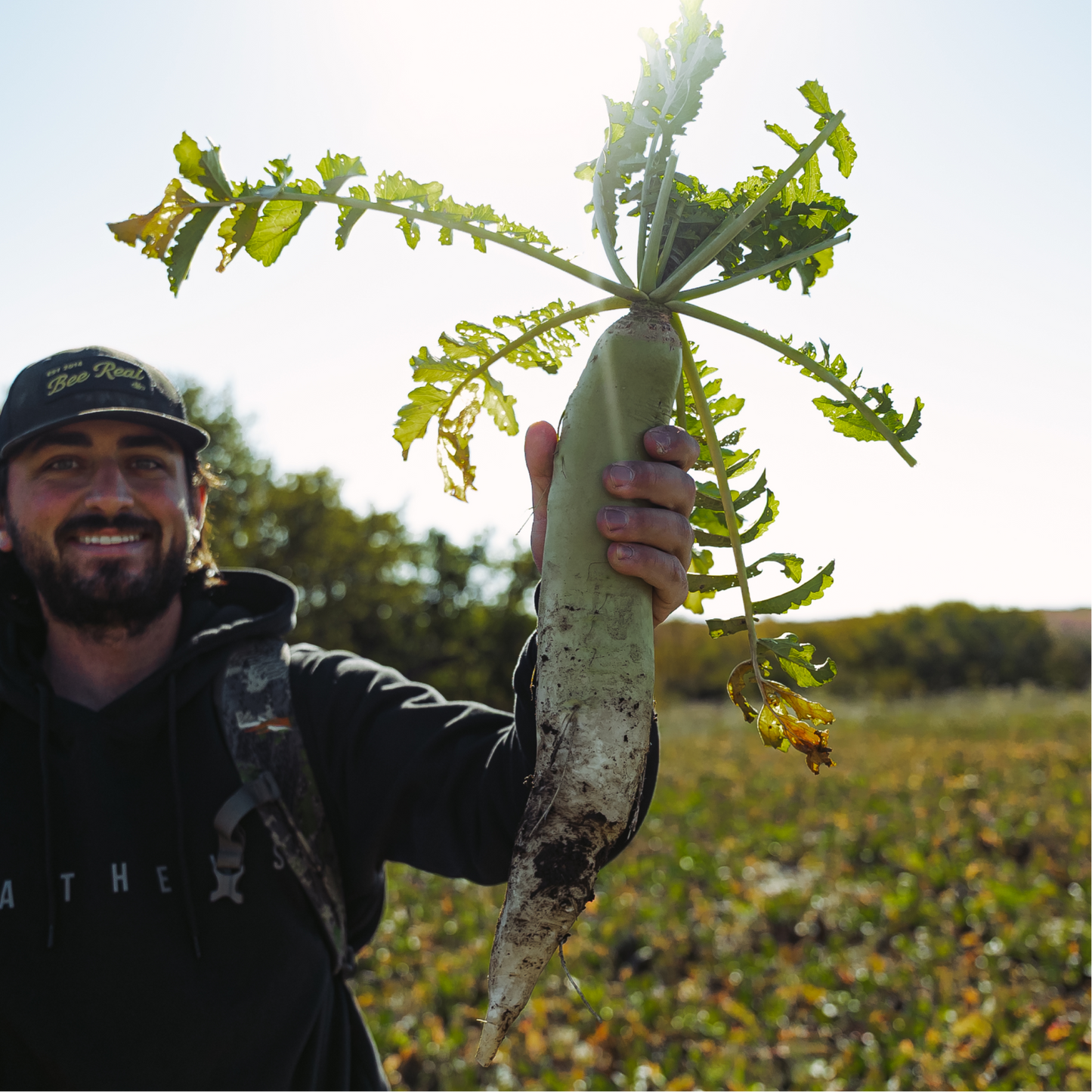 Rolling Hills Supply Radish+