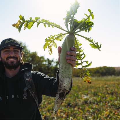 Rolling Hills Supply Radish+