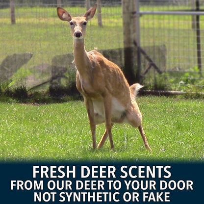 Outdoor Hunting Lab Deer Society Rut Package - Buy 5 Bottles Get 6 Free