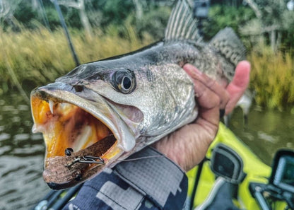 Topwater Co Small Speed Clips (45lbs)