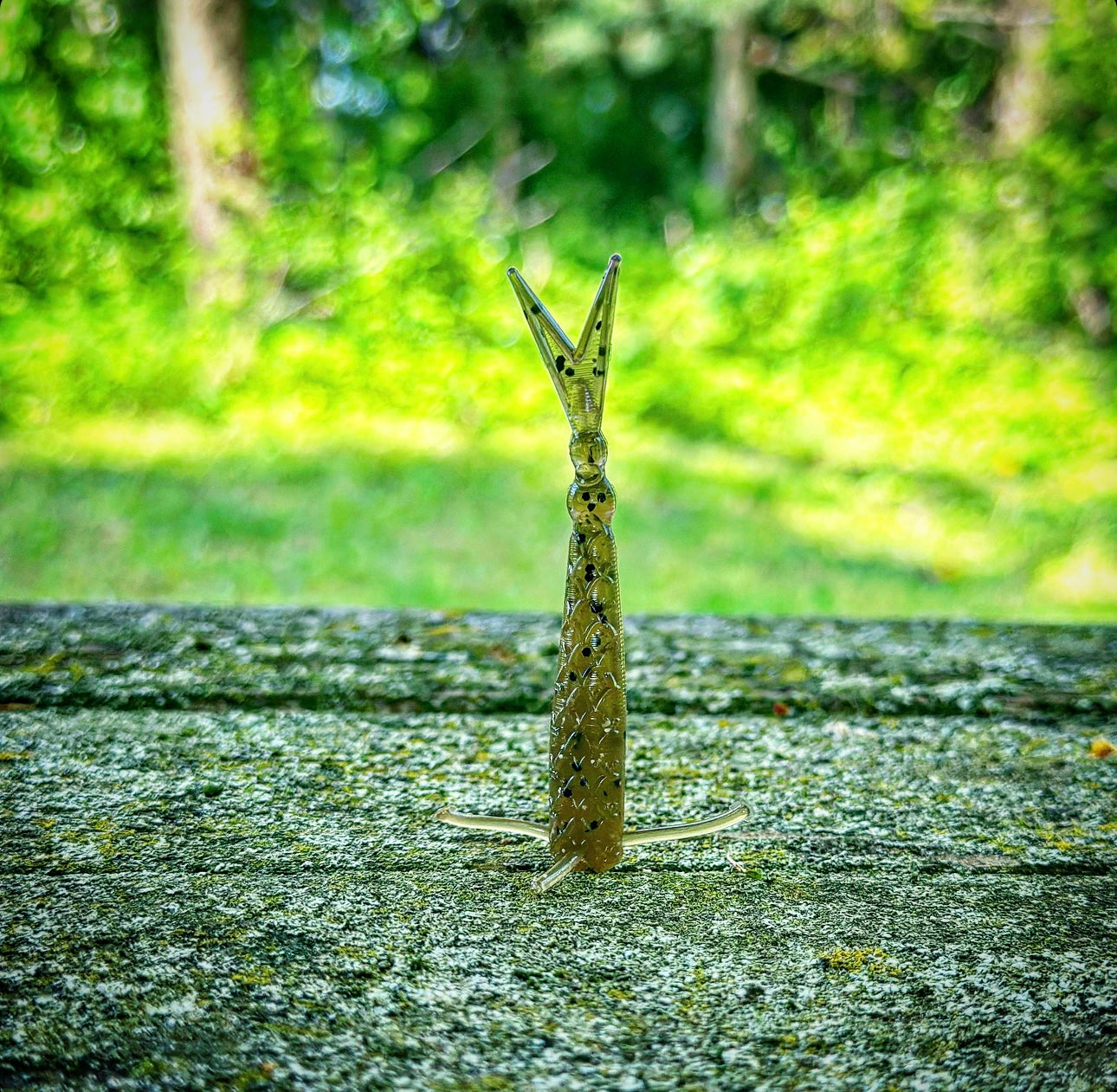 Fish or Die The Sharpshooter