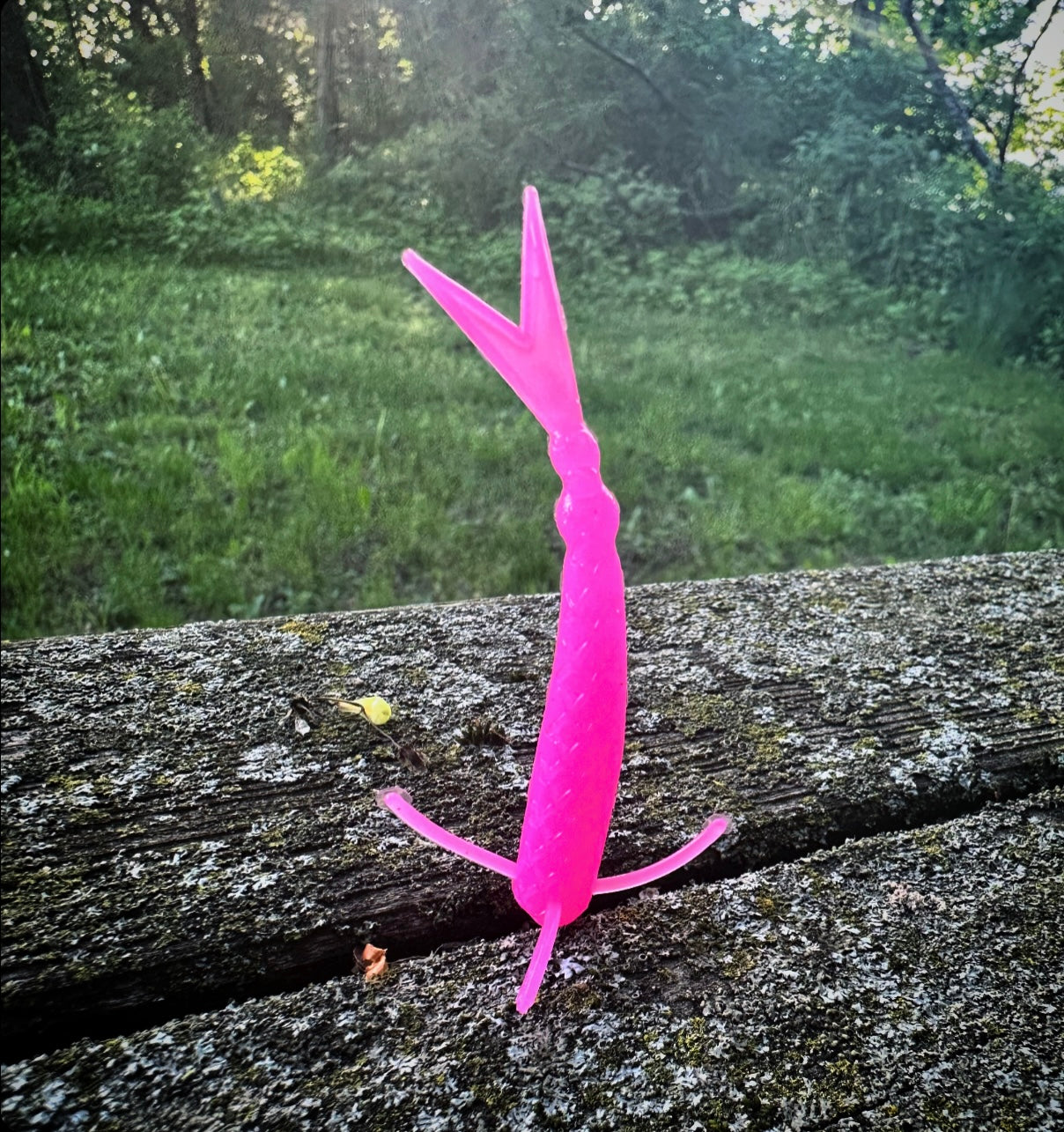 Fish or Die The Sharpshooter