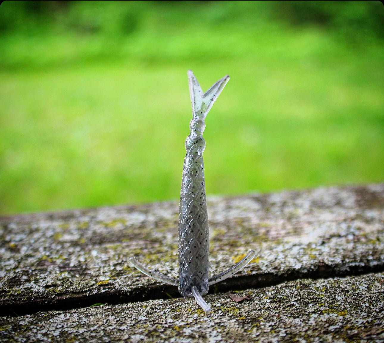 Fish or Die The Sharpshooter