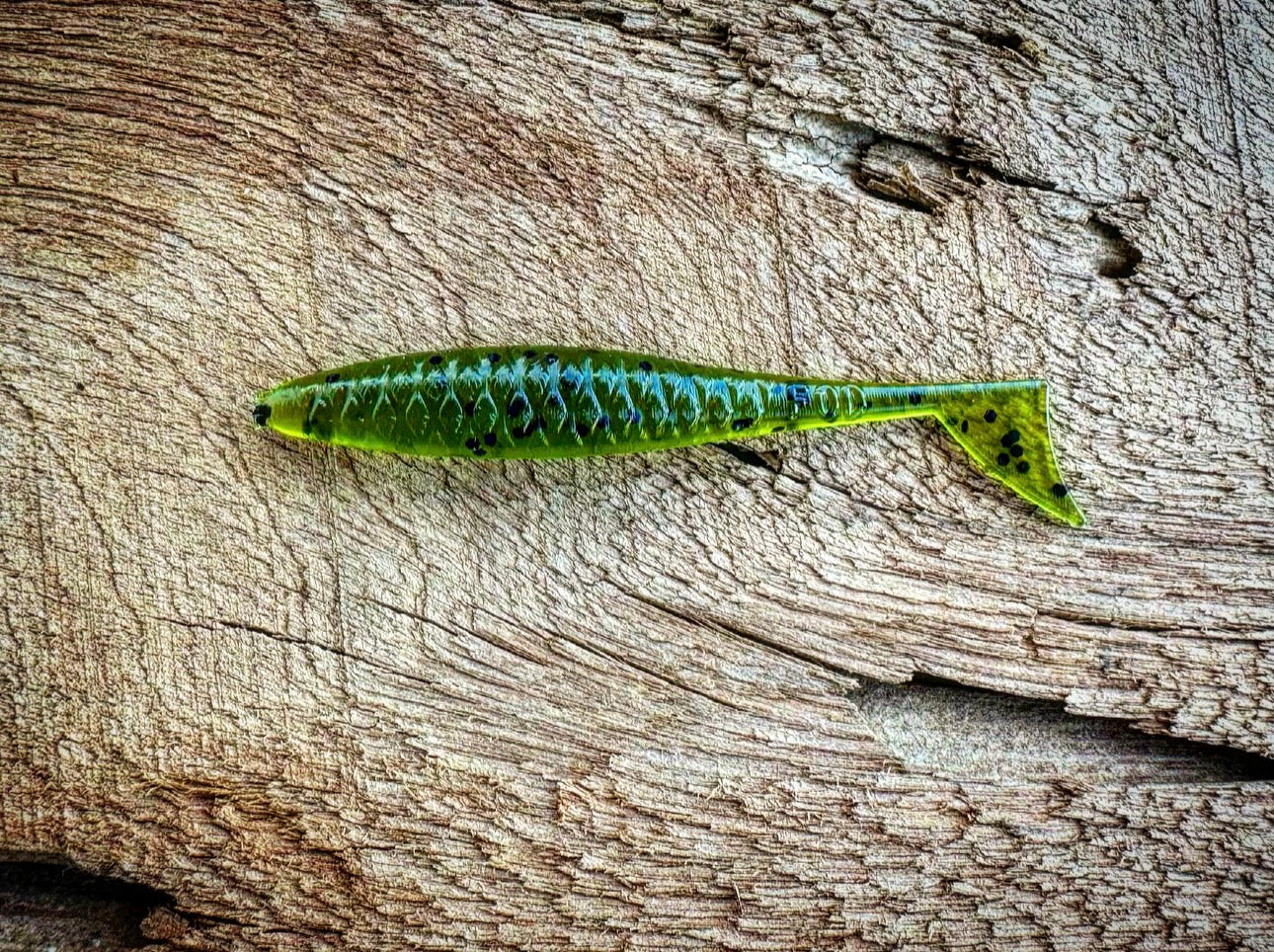 Fish or Die The Dagger