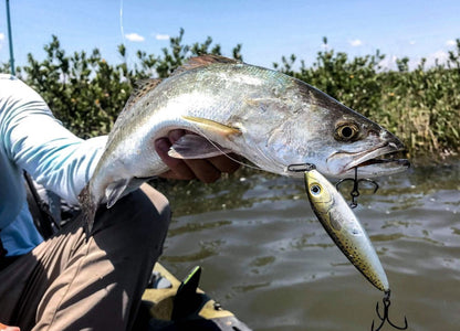 Topwater Co Small Speed Clips (45lbs)