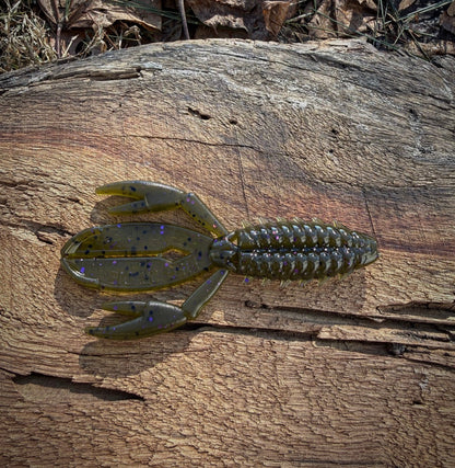 Fish or Die The Sherman