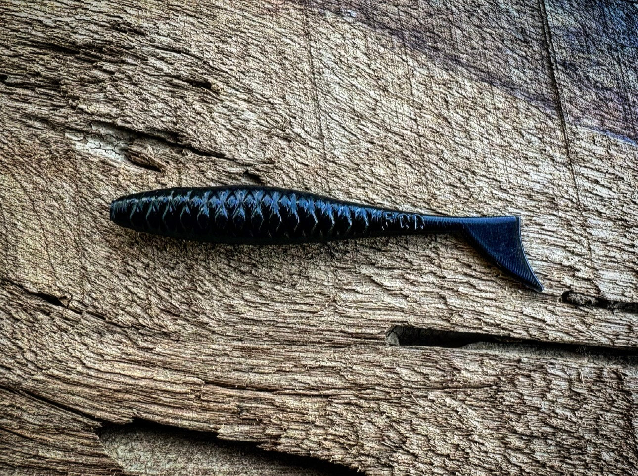 Fish or Die The Dagger