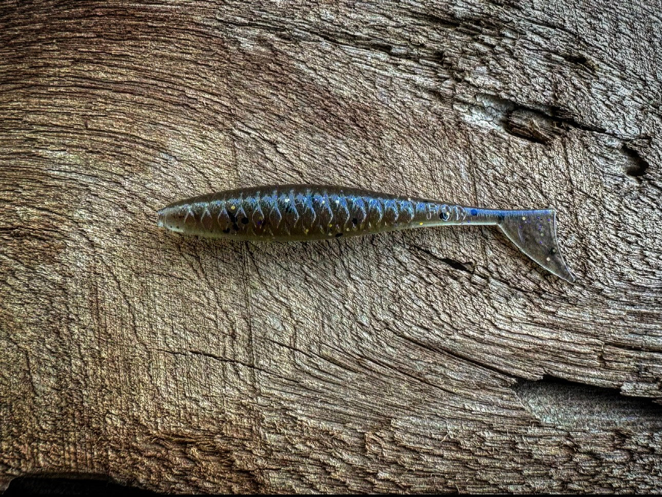 Fish or Die The Dagger