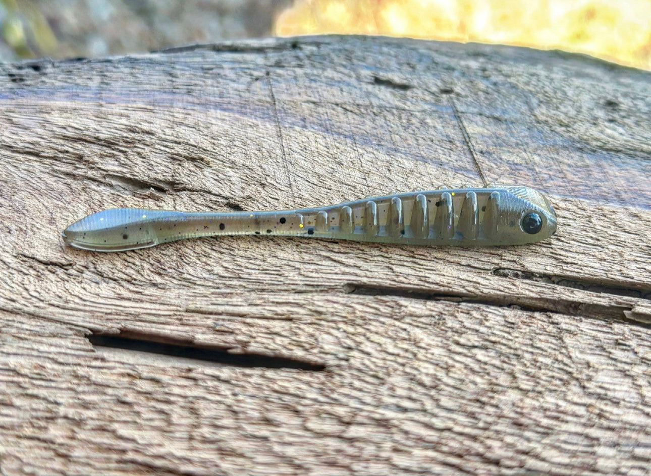 Fish or Die The Gadsden