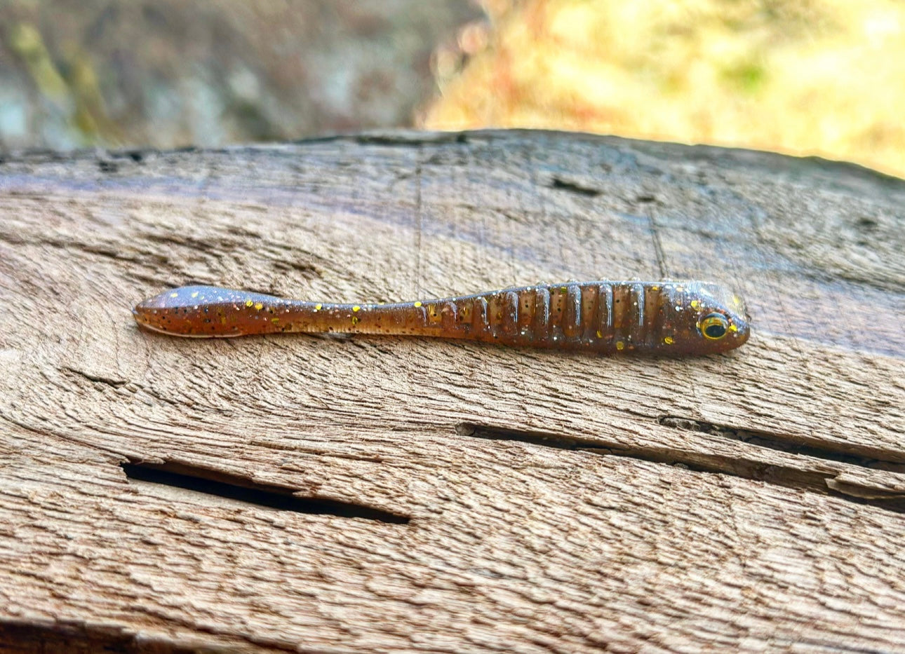 Fish or Die The Gadsden