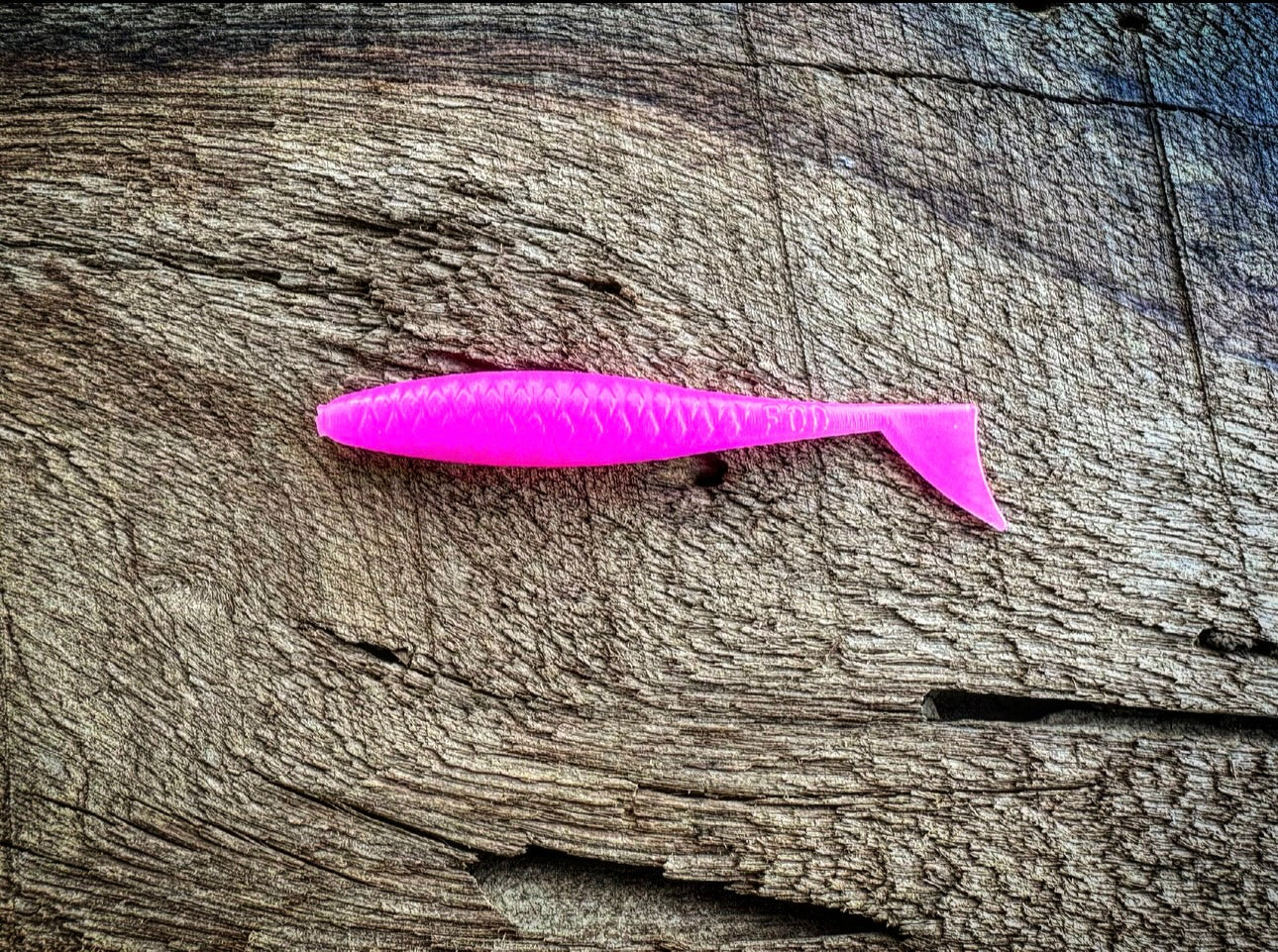 Fish or Die The Dagger