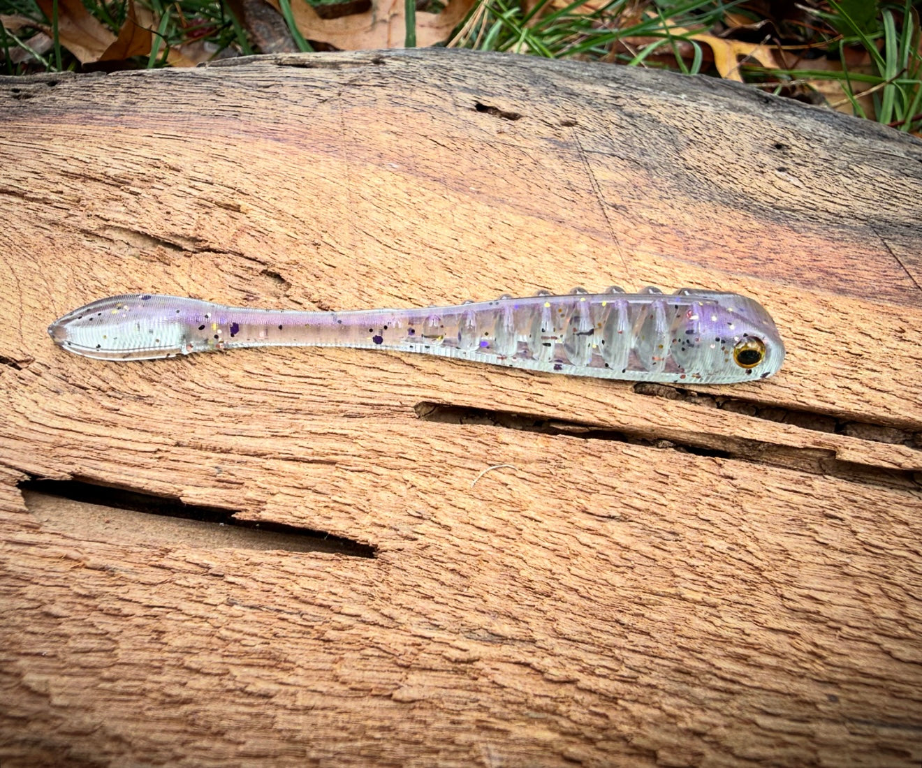 Fish or Die The Gadsden