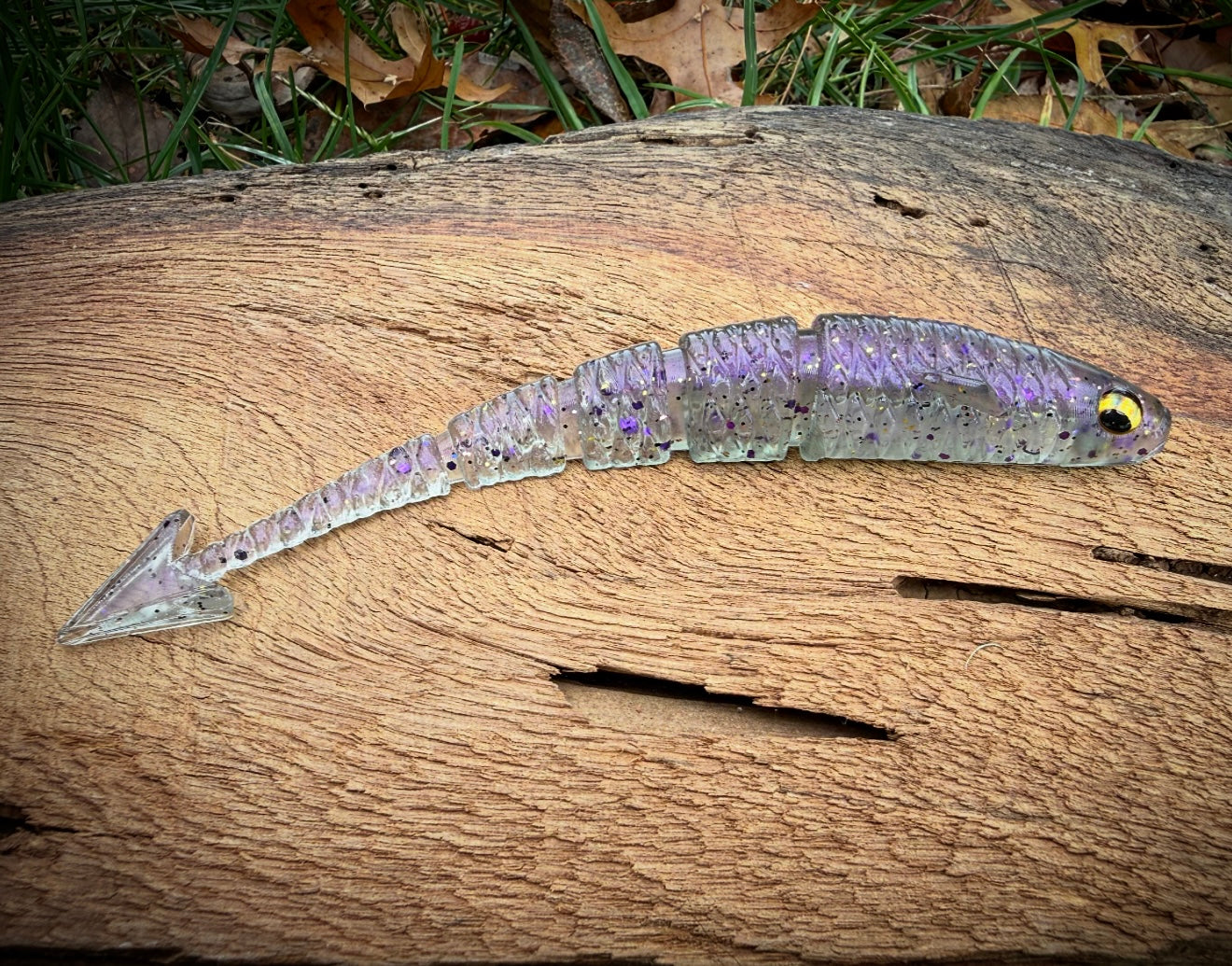 Fish or Die Warbird