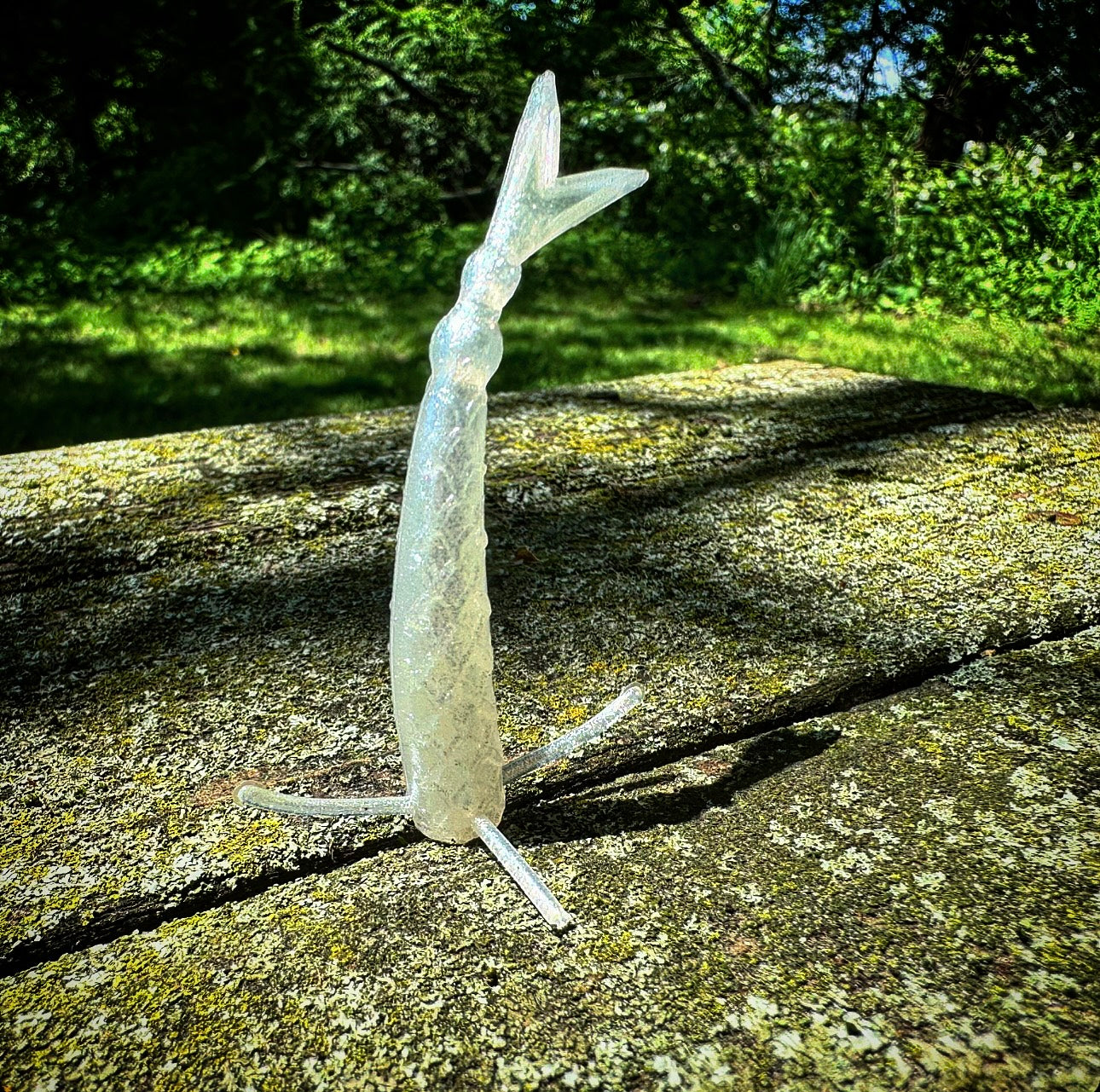 Fish or Die The Sharpshooter