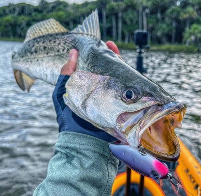 Topwater Co Small Speed Clips (45lbs)