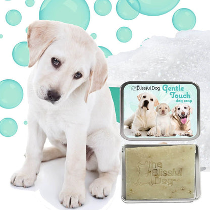 The Blissful Dog Gentle Touch Dog Shampoo & Soap