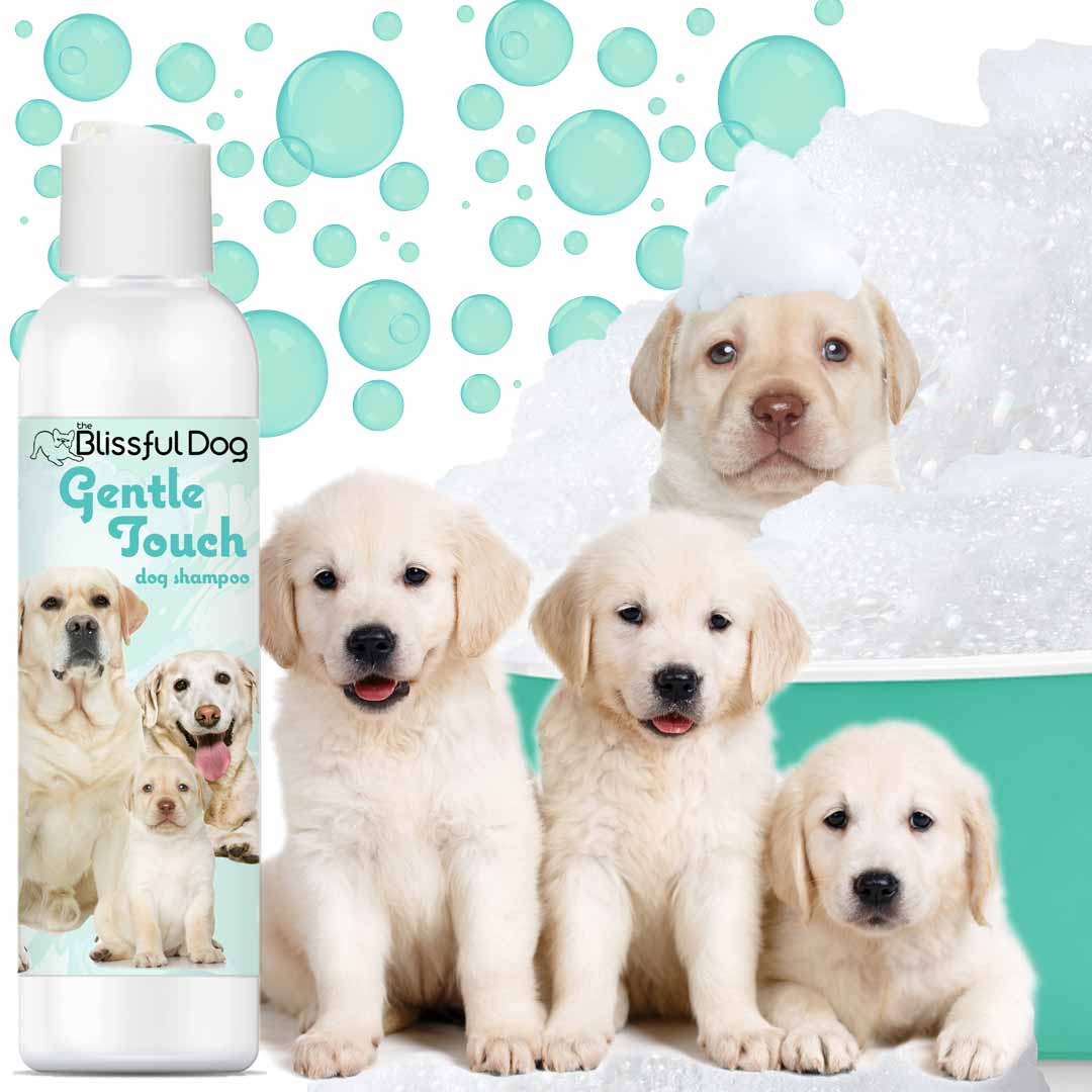 The Blissful Dog Gentle Touch Dog Shampoo & Soap