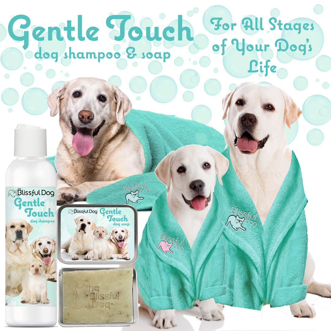 The Blissful Dog Gentle Touch Dog Shampoo & Soap