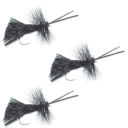 The Fly Fishing Place 3 Pack Goddard Caddis Black Dry Fly - Hook Size 14