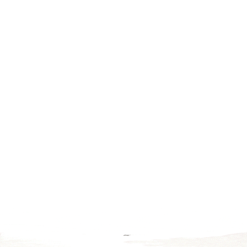 Badgley Mischka Grace 3 Piece Expandable Retro Luggage Set