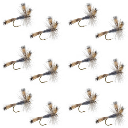 The Fly Fishing Place Gray Wulff Classic Trout Dry Fly -12 Flies Hook Size 8
