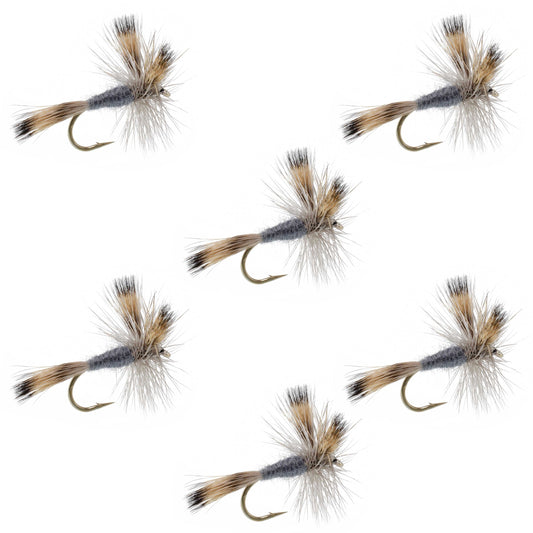 The Fly Fishing Place Gray Wulff Classic Trout Dry Fly - 6 Flies Hook Size 12