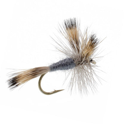 The Fly Fishing Place Gray Wulff Classic Trout Dry Fly - 6 Flies Hook Size 8