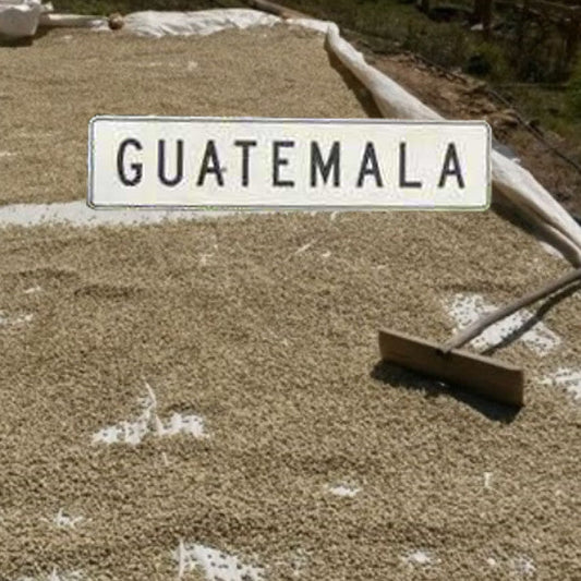 Koffee Kult Guatemala Huehuetenango Coffee