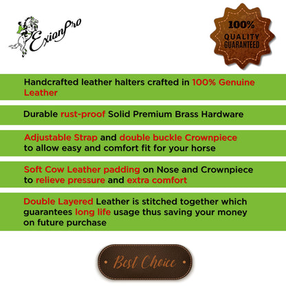 Bridles & Reins ExionPro Triple Stitched Halter - Brass Hardware