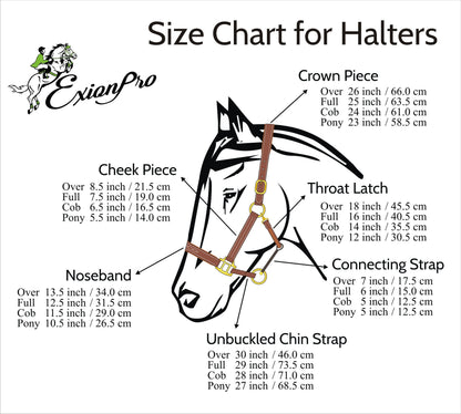 Bridles & Reins ExionPro Fancy Stitched Halter - Brass Hardware