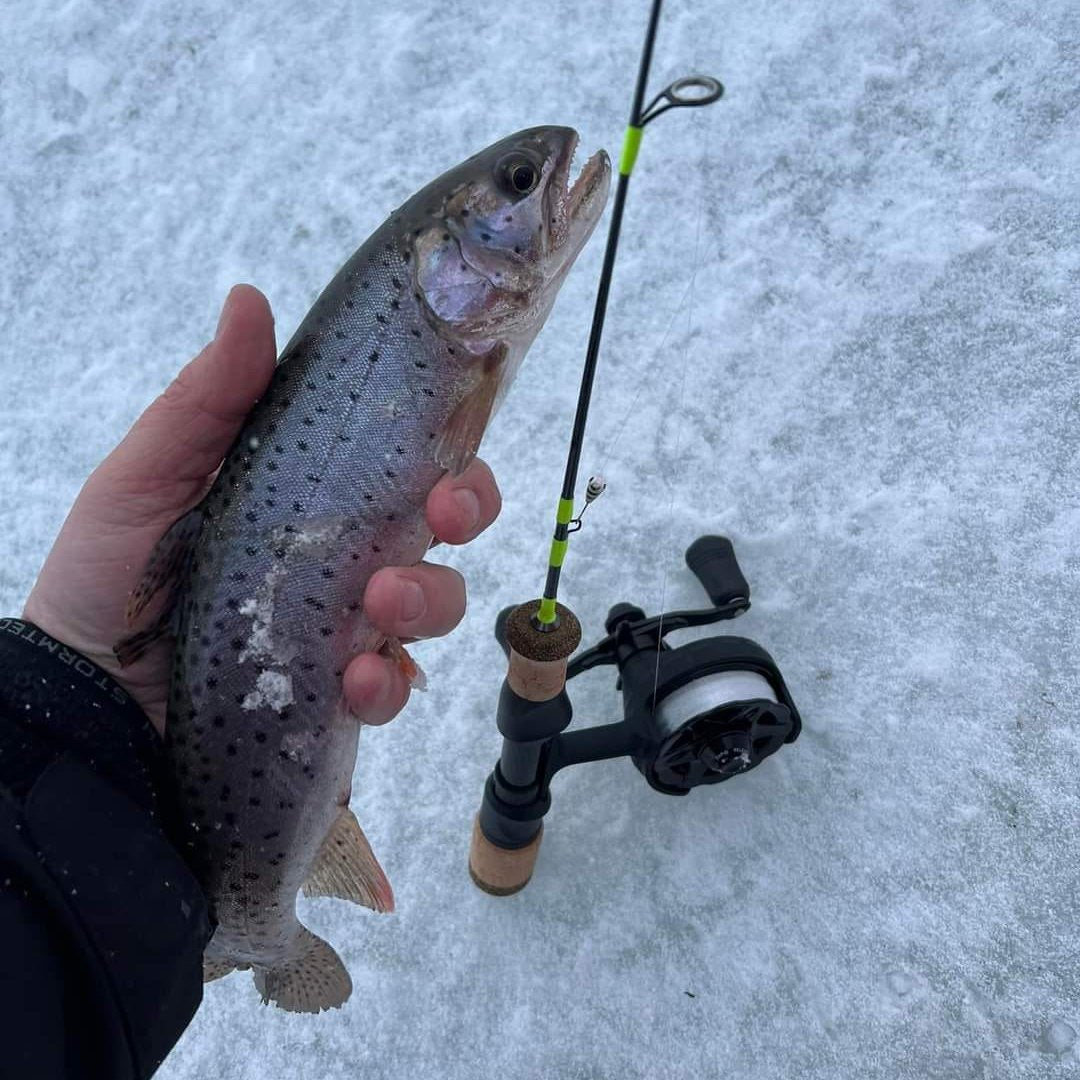 Wasatch Tenkara Rods Ice Breaker