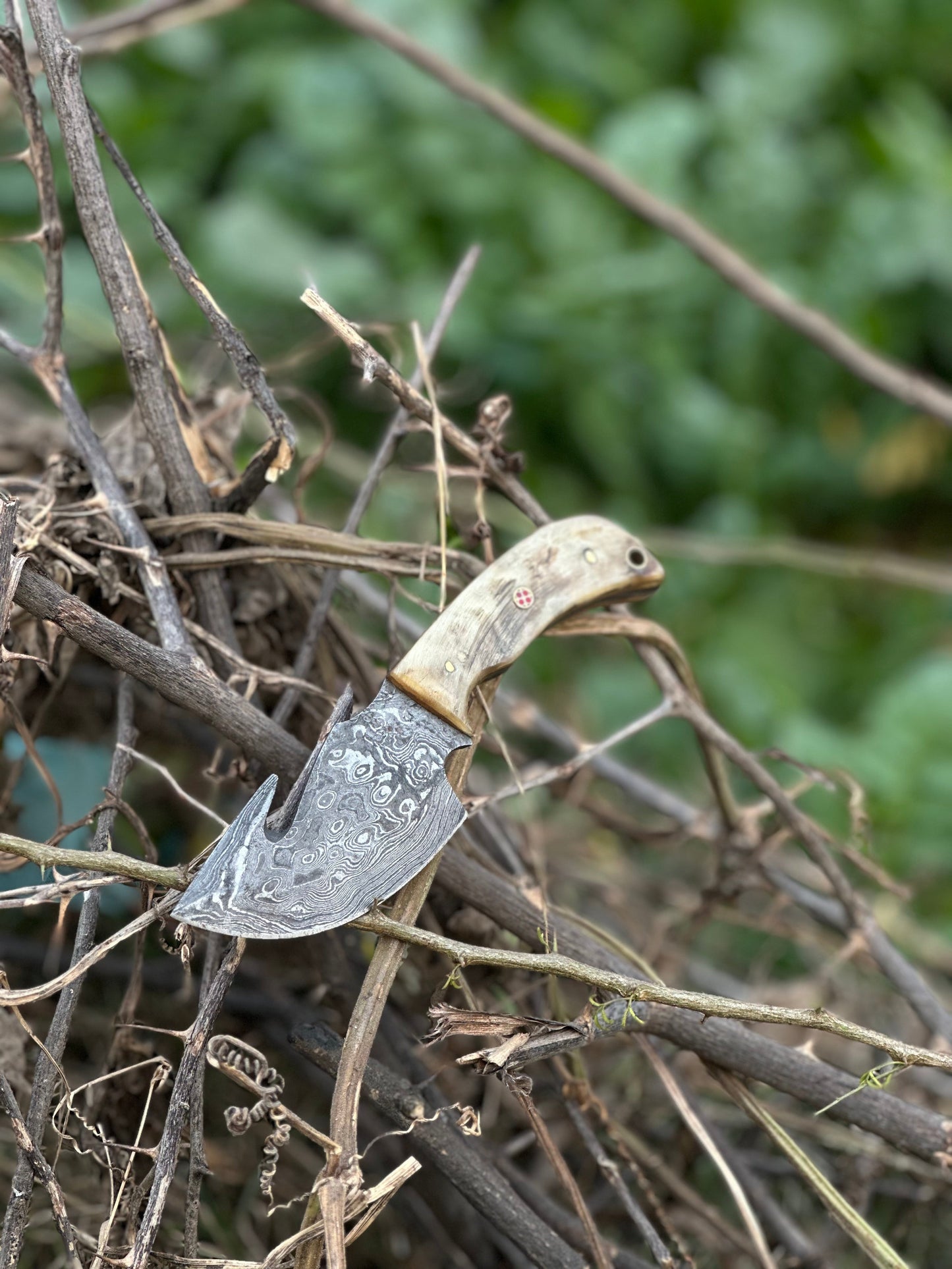Texan Knives Custom Handmade Damascus Steel Guthook Skinning Knife with Sheep Horn Handle - 7.5” with Leather Sheath