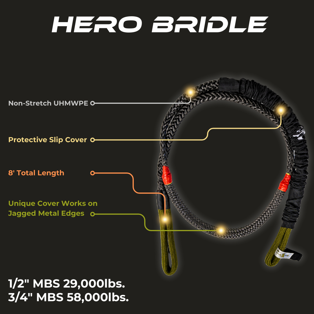 Sandy Cats Hero Bridle