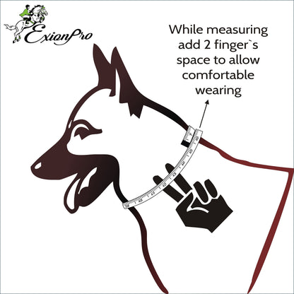 Bridles & Reins ExionPro Silver Snaffle Padded Leather Dog Collar - Brown Padding