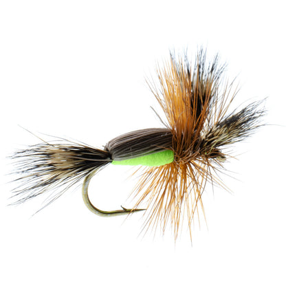 The Fly Fishing Place Barbless Chartreuse Humpy Classic Hair Wing Dry Fly - 1 Dozen Flies Hook Size 14