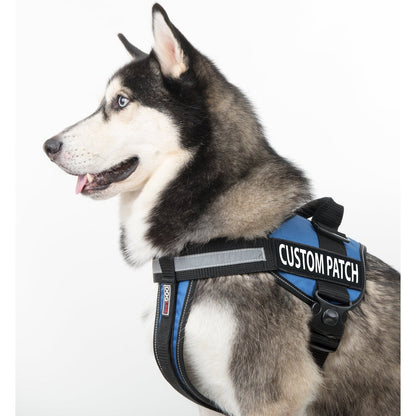 Dogline Personalized Removable Patches (Set of 2)