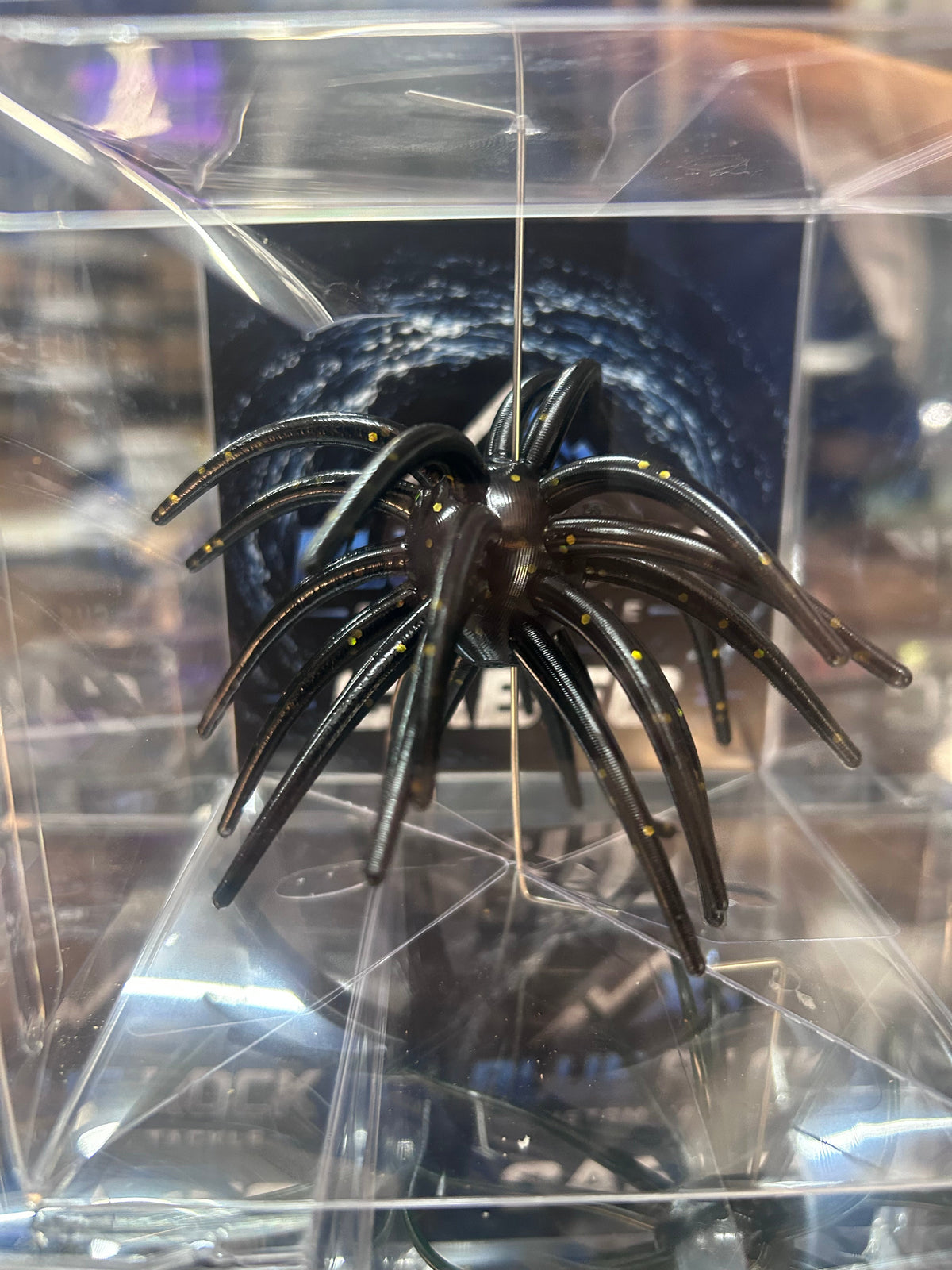Blue Rock Custom Cabec Urchin 25mm
