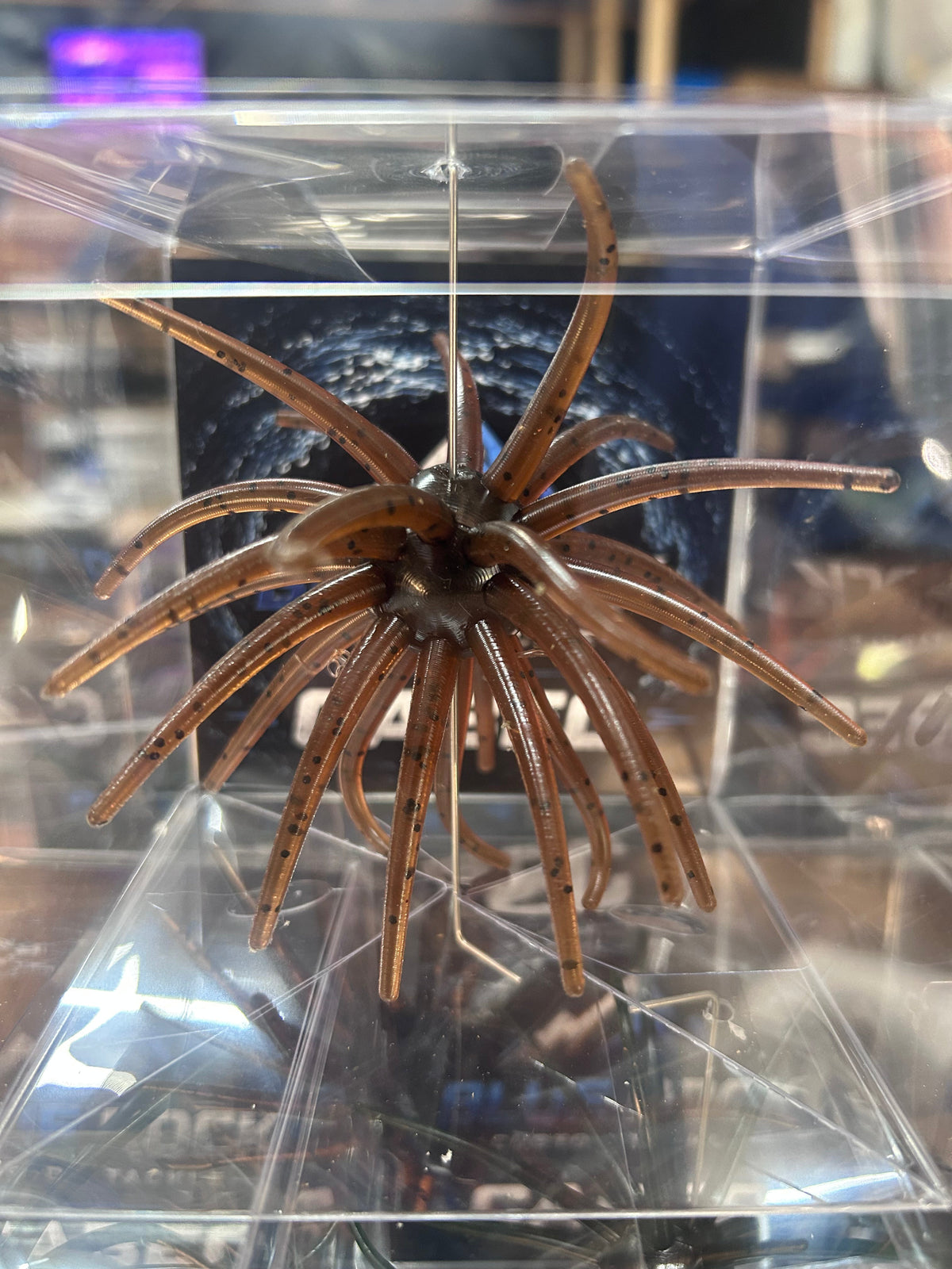 Blue Rock Custom Cabec Urchin 25mm