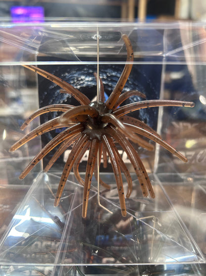 Blue Rock Custom Cabec Urchin 25mm