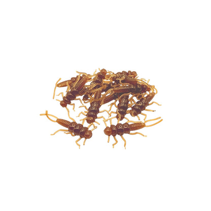 Invinci Core Creek Bugz (Stonefly) 1.375”