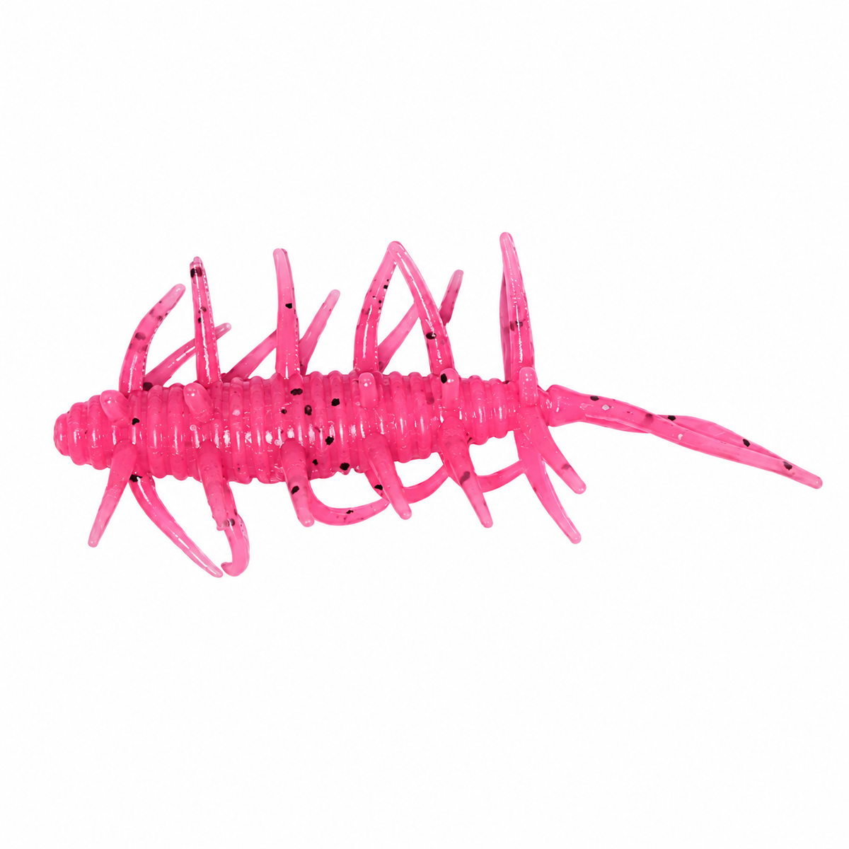 FishCo Okane Prawn