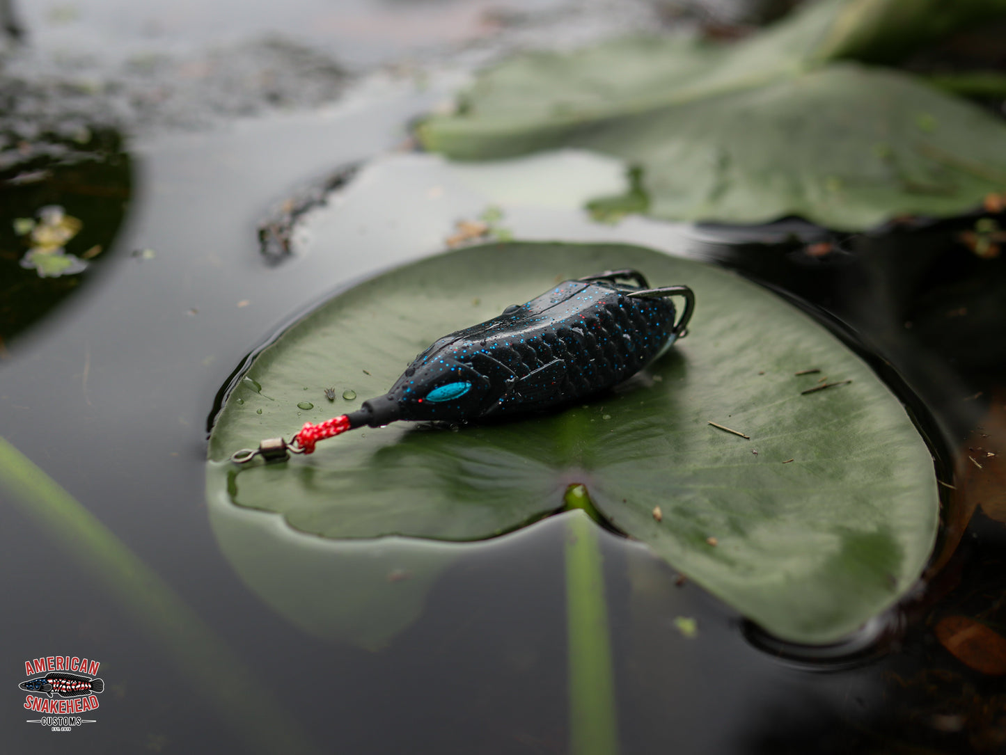 American Snakehead Customs Snek Frog