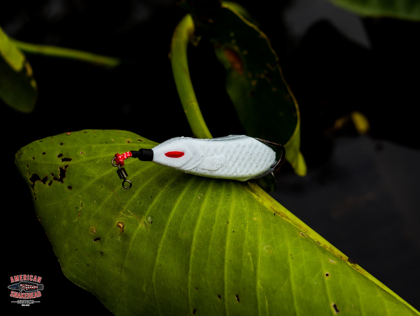 American Snakehead Customs Snek Frog